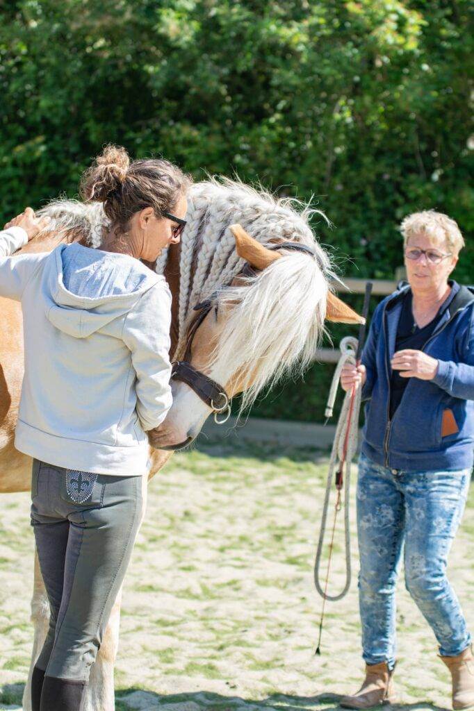 Zorgpaard met twee vrouwen